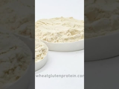 Wichtiges Weizengluten, Weizengluten, Gluten